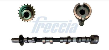 Вал распределительный FRECCIA CM052361