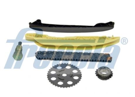 Комплект цепи ГРМ (6 предм.) с шестернями FRECCIA TK081025