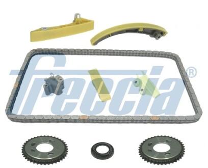 Комплект ланцюга ГРМ FRECCIA TK081074