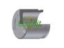 Поршень суппорта CHEVROLET MATIZ (M200, M250) 05-;DAEWOO LANOS (KLAT) 97-,LANOS седан (KLAT) 97-, P484804