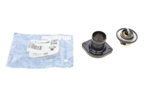 Термостат Citroen IMPERGOM 90738