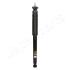 DB Амортизатор газ.задн.W203 00- JAPANPARTS MM00955 (фото 1)