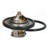 FORD Термостат с прокладкой t-82C Fiesta V 01-, Focus || 04-, Mazda 2 03- JAPANPARTS VT316 (фото 2)