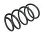 HYUNDAI Пружина подвески передн.Accent,Kia Rio 05- JAPANPARTS ZC3209G (фото 1)