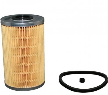 Фільтр паливний Master/Movano 1.9-2.8dTi/2.5D 98-/Kangoo/Megane 1.9dCi (Bosch) 02- JP GROUP 1218700100