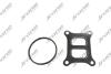 Комплект прокладок турбіни VW Golf VI 09-14, Jetta VI 10-18, Scirocco 08-17, Beetle new 98-11, Beetle 11-19; AUDI Q3 11-18 2090010184
