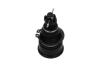 PARTS HONDA кульова опора нижняя лів./прав.CR-V II 02- KAVO SBJ2011 (фото 2)