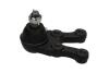 PARTS HYUNDAI кульова опора нижн.прав.H-1,Starex 01- KAVO SBJ3022 (фото 4)