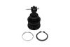 PARTS TOYOTA кульова опора Yaris 1.0 05-11, 1.8 07-11 KAVO SBJ9034 (фото 1)