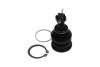 PARTS TOYOTA кульова опора Yaris 1.0 05-11, 1.8 07-11 KAVO SBJ9034 (фото 2)