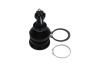 PARTS TOYOTA кульова опора Yaris 1.0 05-11, 1.8 07-11 KAVO SBJ9034 (фото 4)
