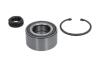 PARTS CITROEN К-кт колісних підшипників C4 III 1.5 BlueHDi 130 20-, PEUGEOT 2008 II 1.5 BlueHDI 100 19-, OPEL CORSA F (P2JO) 1.2 (68) 19- KAVO WBK10080 (фото 3)