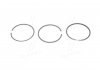 Кольца поршневые (к-кт 3 шт), 1.8 i 97-02 STD KOLBENSCHMIDT 800003411000 (фото 1)