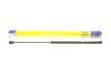 Амортизатор кришки багажника MAGNETI MARELLI 430719082000 (фото 1)