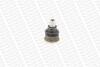 Опора шаровая передняя нижняя NISSAN INTERSTAR Van (X70) 02-/OPEL MOVANO A Van (MONROE L10583 (фото 3)