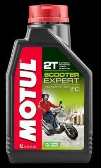 Масло для 2-х тактных двигателей Technosynthese MOTUL 831801 / 105880