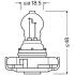 Автолампа (24W 12V PG20-7 FS1) OSRAM 2504 (фото 3)