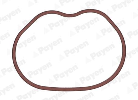 Прокладка Payen JD6166