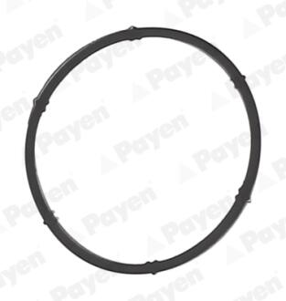 Прокладка Payen JD6171