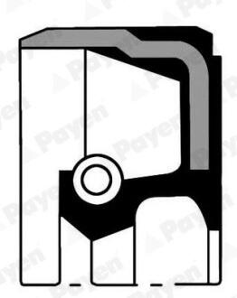 Shaft Seals Single Payen NB929