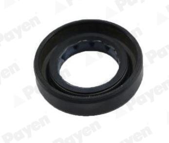 Сальник 19x32x8 Payen NJ444