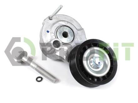 Ролик модуля натяжителя ремня PROFIT 10143650