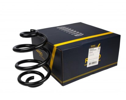 Пружина задня BMW 3 90-07 Raiso SR082TP