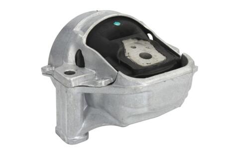 Кріплення двигуна Reinhoch RH110080
