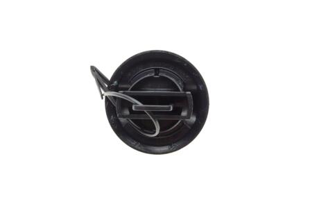 Крышка топливного бака Logan, Sandero, Clio II, Megane, Laguna II, Master II, Vivaro RENAULT 7700431898