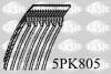 Ремінь генератора, 1.1/1,4i 96- SASIC 5PK805 (фото 1)