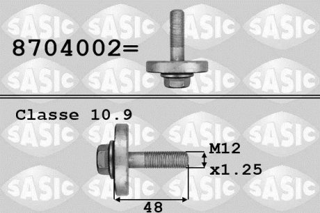 Болт шківа колінвала, 1.4-1.6 16V, 1.5dCI Kangoo, Clio, Megane 02- SASIC 8704002