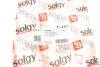 Рычаг подвески Solgy 204089 (фото 2)