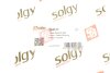 Рычаг подвески Solgy 204137 (фото 3)