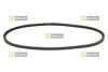 Клиновый ремень STARLINE SR 13X800 (фото 1)