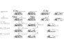 Стеклоочиститель STARLINE ST SR33HS1 (фото 4)
