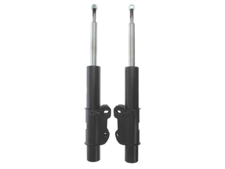 Амортизатор подвески, передний STARLINE TL C00324.2
