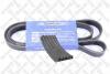 Пасок поліклиновий 5PK736 STELLOX 0500736SX (фото 1)