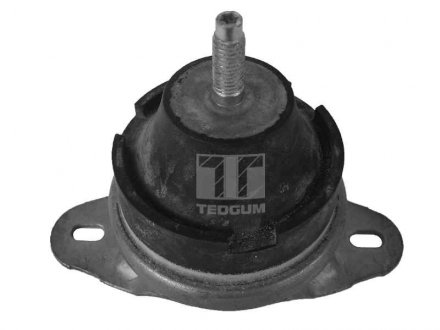Опора двигуна TEDGUM 00514176 (фото 1)