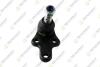 TEKNOROT FORD Шаровая опора d=21мм Focus II,C-Max,Volvo FO464