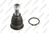 TEKNOROT BMW Шаровая опора передн.внутренняя Mini Cooper,One,Clubman 06- MN130