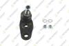 BMW кульова опора (к-кт) прав.Mini 06- TEKNOROT MN134K (фото 1)