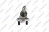 TEKNOROT TOYOTA Шаровая опора нижн.прав.Camry 01-,Previa,Lexus RX 300/400 03- T185