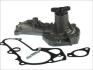 Водяна помпа Mazda 323 BG 1.7D 85- THERMOTEC D13019TT (фото 1)