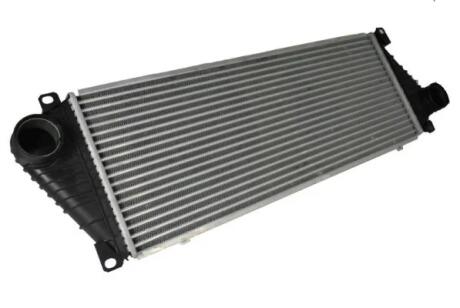 Радиатор интеркулера, 95-06 THERMOTEC DAM001TT