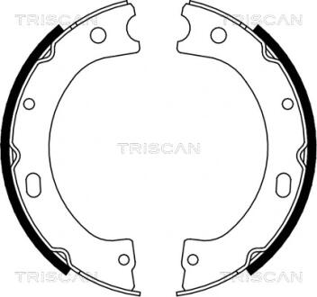 Комплект гальмівних колодок, Стоянкове гальмо TRISCAN 810014011