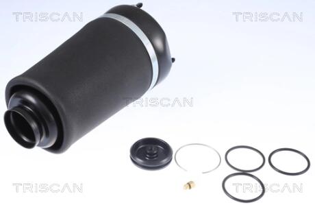 Пневмоподушка підвіски TRISCAN 8720 23101