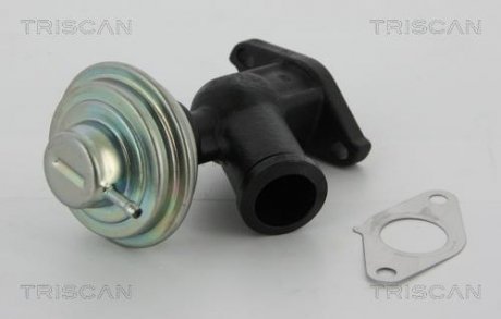 Клапан рециркуляции отработанных газов Fiat/Ford/PSA 2.0Jtd/2.0Tdci/2.0Hdi TRISCAN 881310011