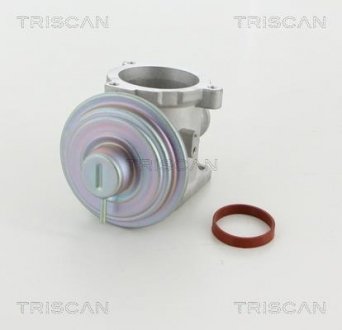 Клапан рецеркуляції відпрацьованих газів TRISCAN 881311003