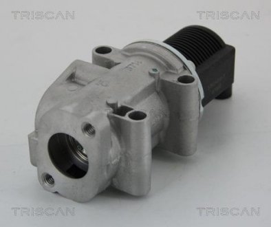 Клапан рецеркуляції відпрацьованих газів TRISCAN 881315032 (фото 1)