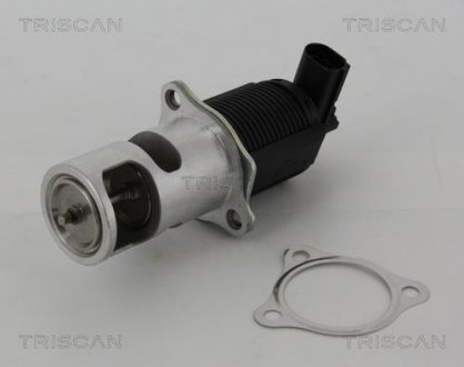 Клапан рецеркуляции отработавших газов TRISCAN 8813 25005 (фото 1)